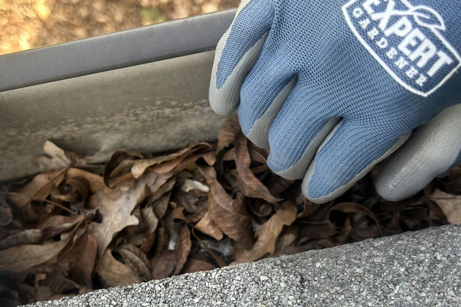 Gutter Cleaning Georgetown, TX