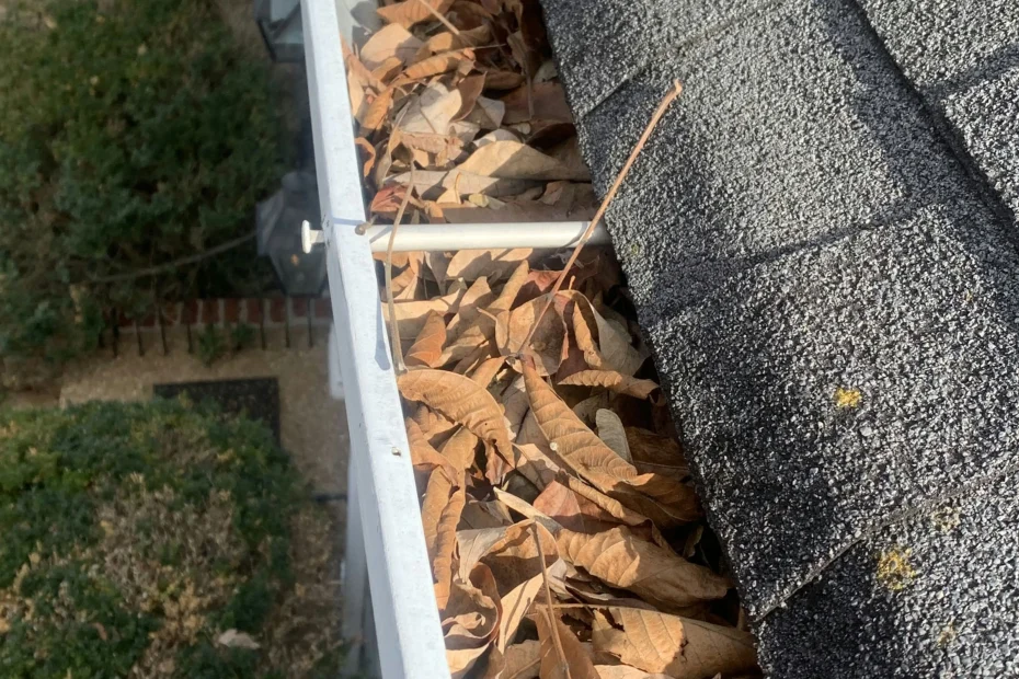 Gutter Cleaning Georgetown, TX