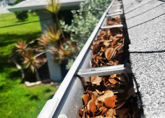 Gutter Cleaning Georgetown, TX home page